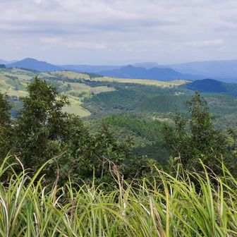 山頂から見た景色。
