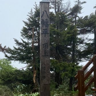 頂上(古いほう)