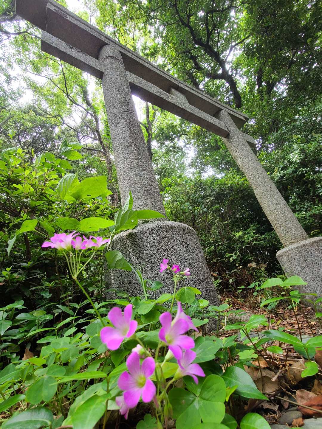 ２座目、ありがとうございました🙇‍♀️
次、三座目へ……