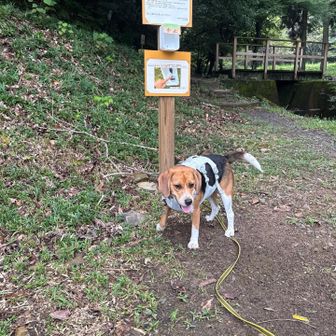 13.7キロに成長しました