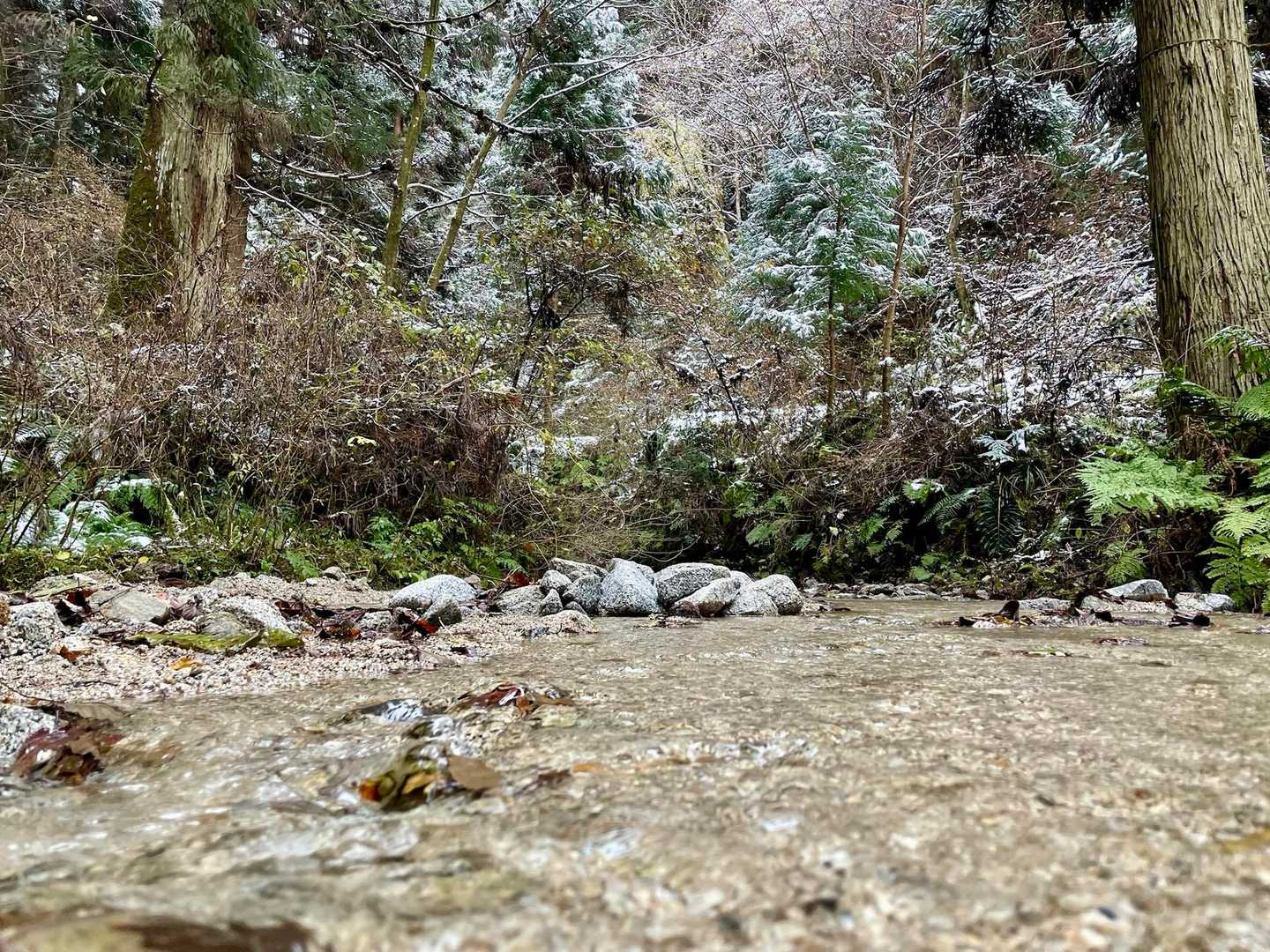 水越峠バス停-金剛山山頂売店-金剛山 周回コースの写真