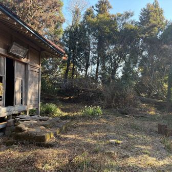 YAMAP上、南峰山頂はこの写真の正面になってます