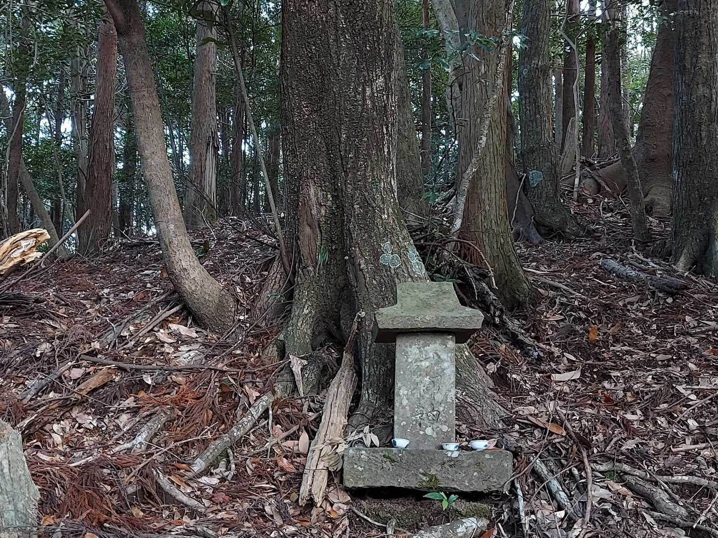 山神様に手を合わせ、無事をお願いします。