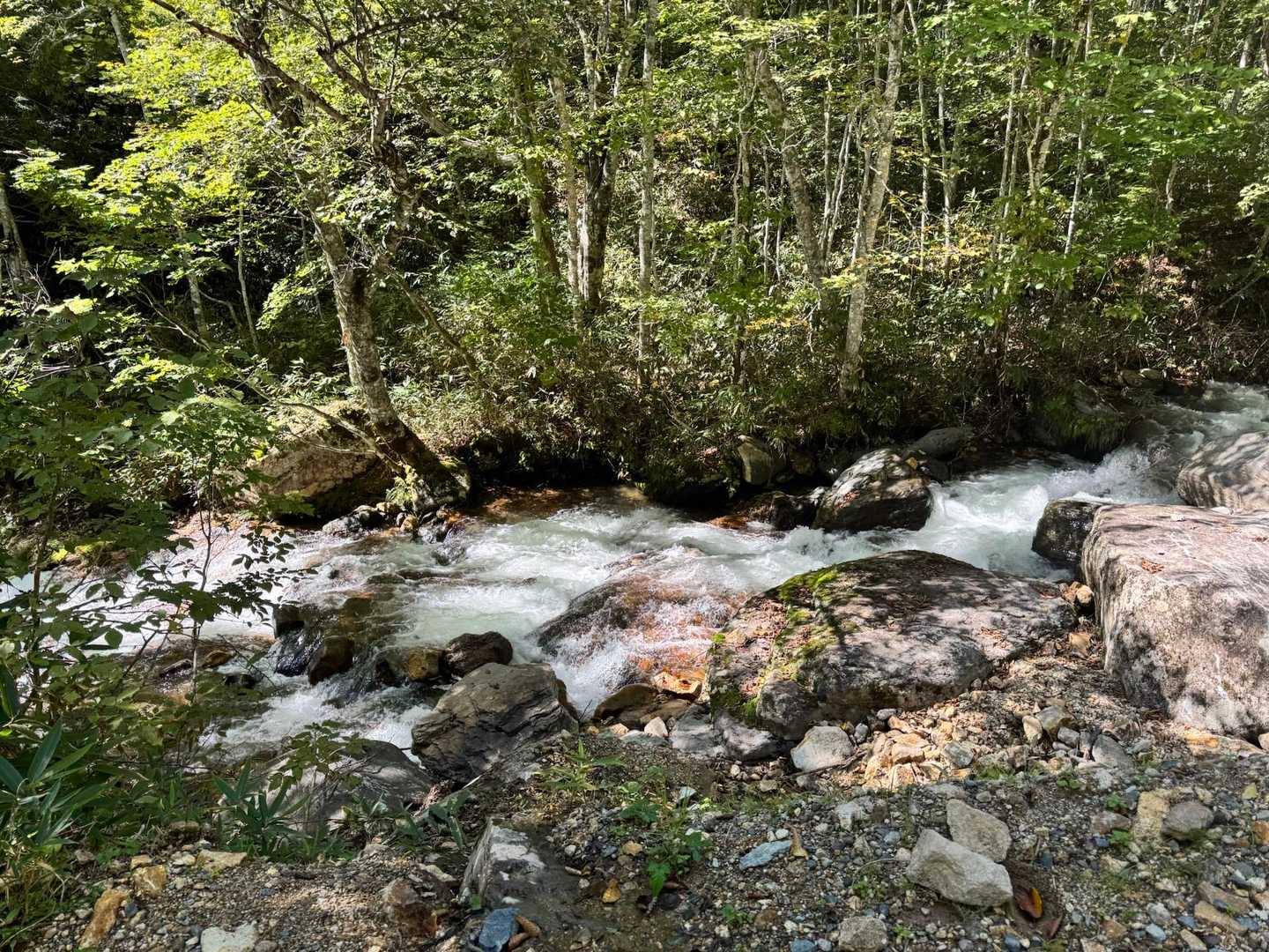 大清水バス停-三平峠-尾瀬沼-燧ヶ岳 往復コースの写真