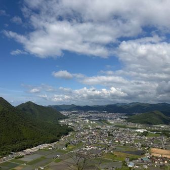 頂上からの眺め
