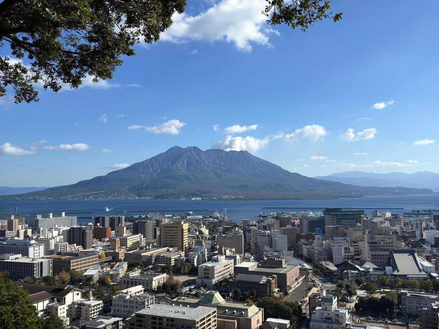 スッキリと晴れて抜群の桜島ビュー