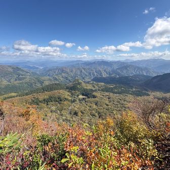 大展望