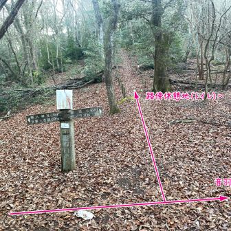 左折して50ｍほど先に路傍休憩地（トイレ）があります。