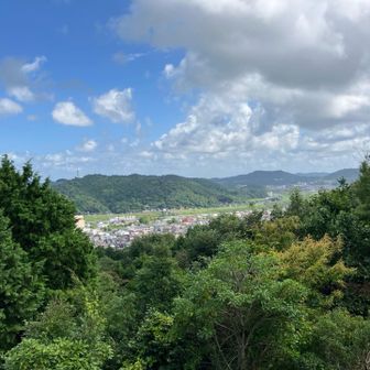 からの景色