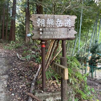 今日は朝熊岳道から