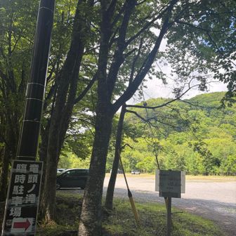 セミの鳴き声が…もう夏気分♪
まずは竜頭の滝へ🚻