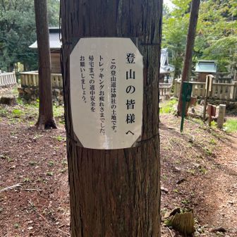 お心遣い感謝です。今日もおつかれ山でした。