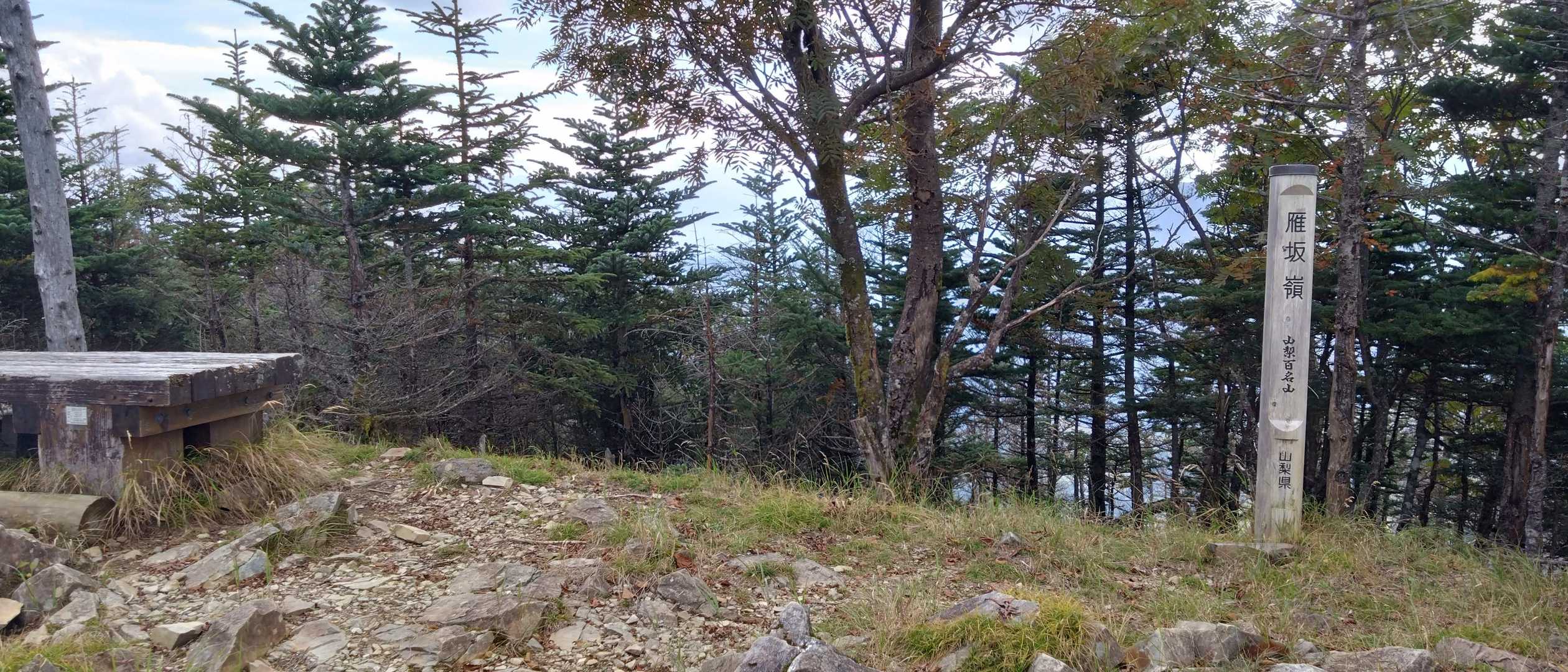 雁坂嶺まで戻ってきました。