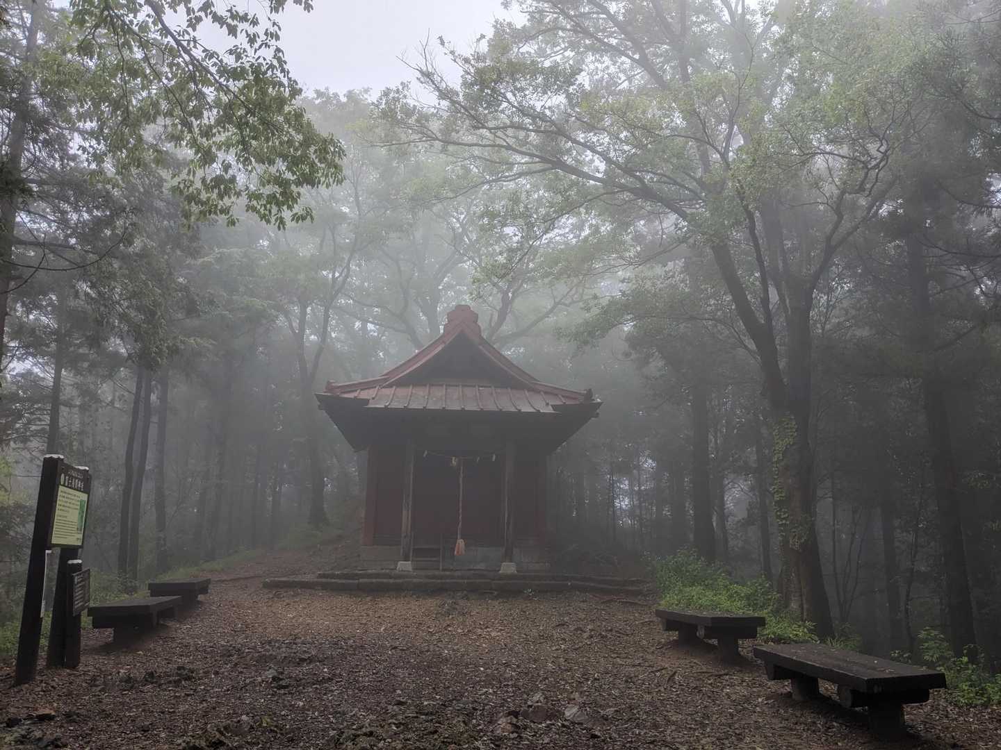 太平神社です。お参りしました🙏幻想的な感じていいですね✌️