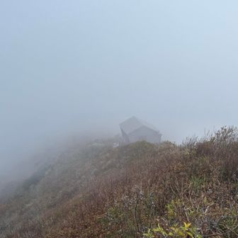 避難小屋の向こうに見えるはずの三鈷峰もガスの中