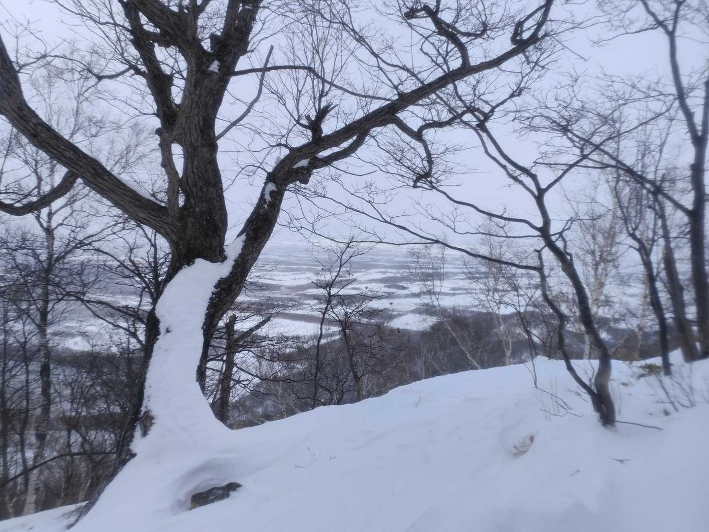 雪がちらつく景色は白い
