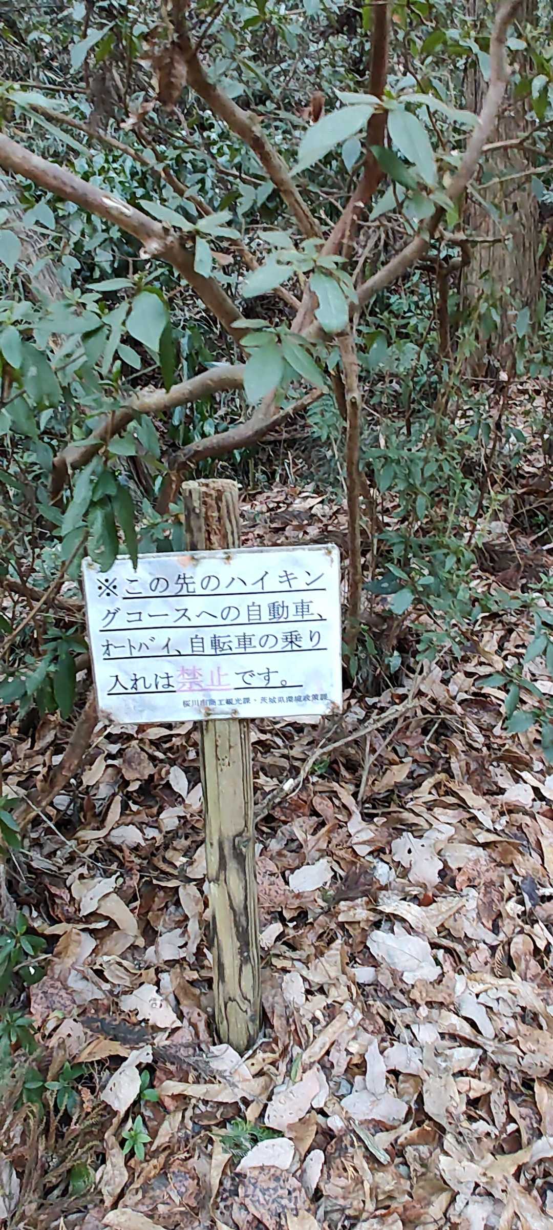 御嶽山 往復コースの写真
