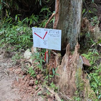 分岐点、湧出岳へ金剛如来神力品の塚もこちら