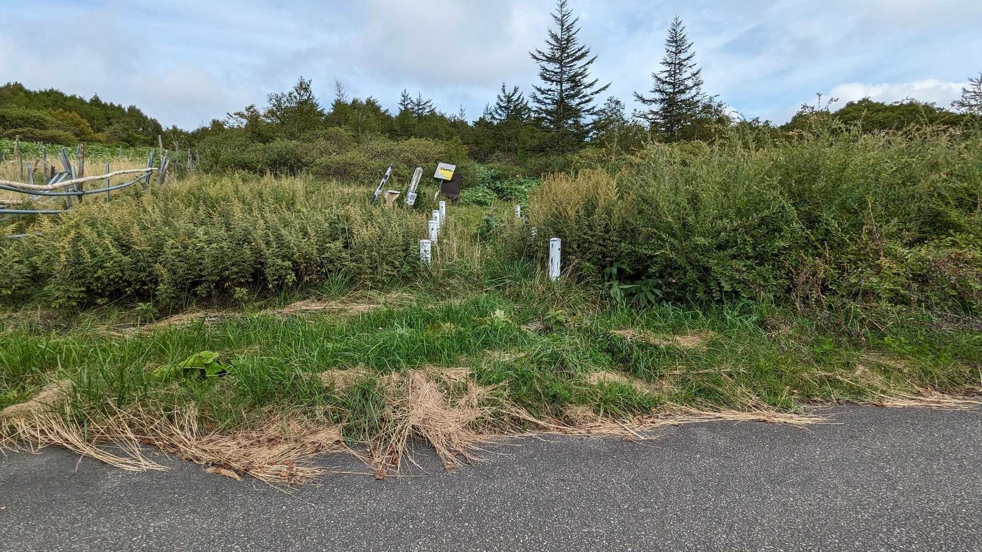 登山口