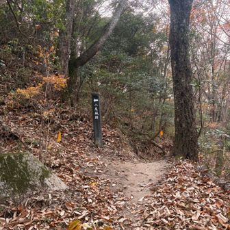 初めての方、途中の旗立岩、亀ヶ岳案内板まで
アテンドして…
戻ってます😊