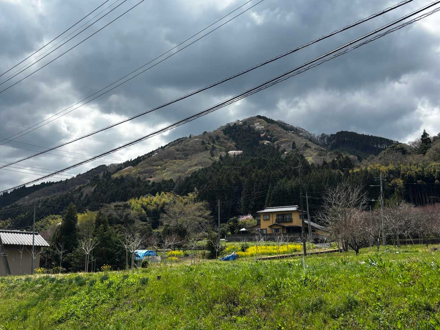 まず、盛金富士から登ります。