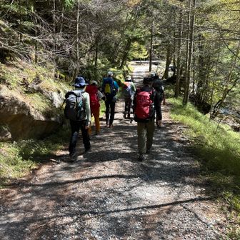 登山道　車通れる登山道　