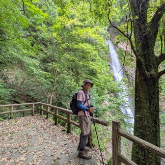 宇嶺の滝　見晴台から
落差70mの大滝だ　水量も多く流れ落ちる様が迫力満点だ
