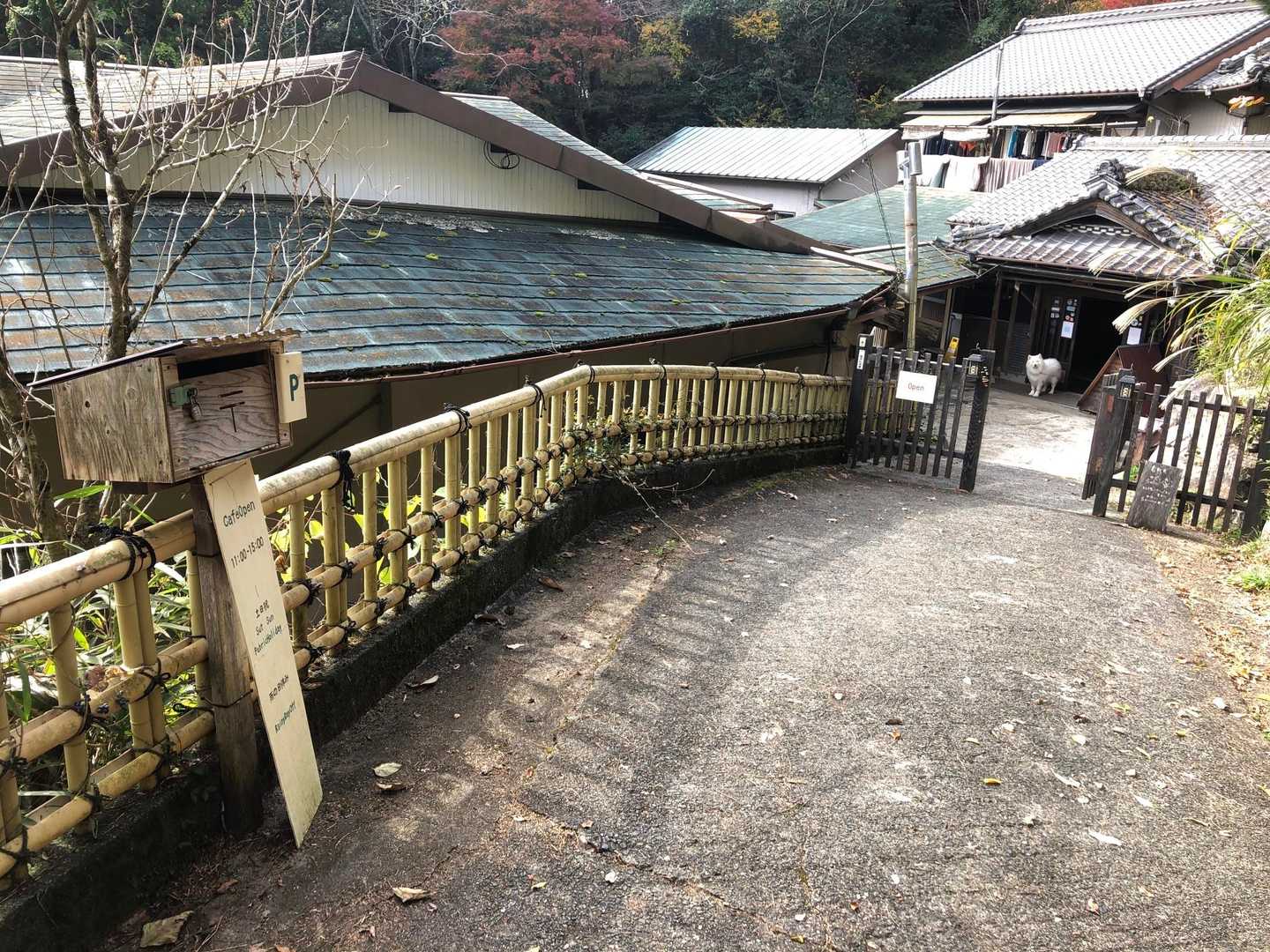 今日は営業中ですが、スルーです🙃