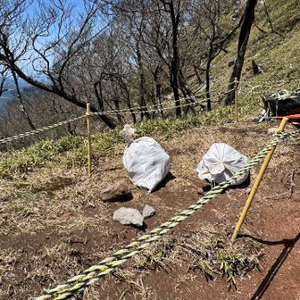 ゴミ拾いしていただいたもの