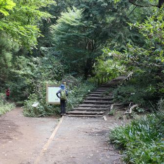え～左へ行きます。