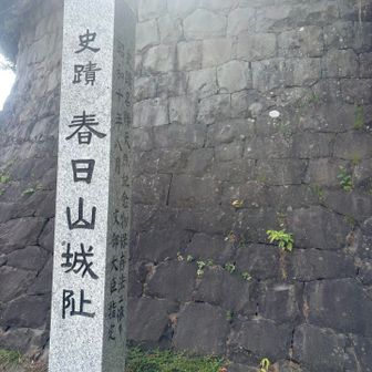 石垣の上に謙信公の銅像があったはずなのに見忘れ😱