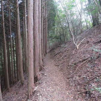 お次の山へ