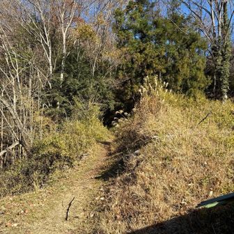 登山道入り口。振り返ってパシャリ。