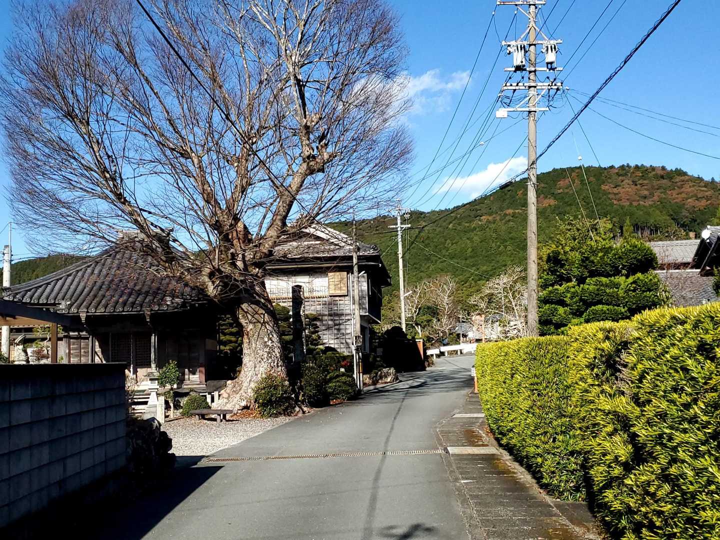 阿曽の集落を歩いて帰るのが定番なんだ😊