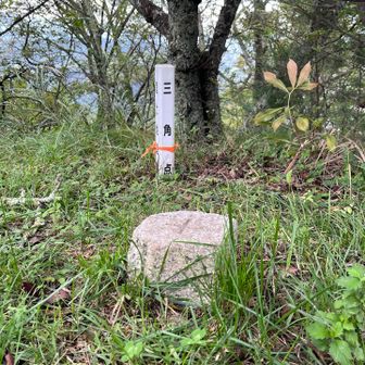 光城山の三角点