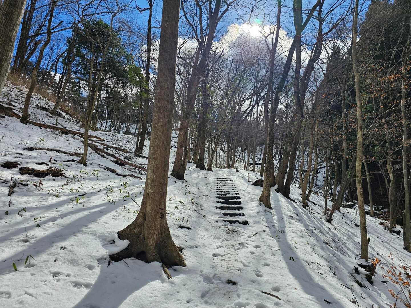 沢沿いに登っていきます。中腹あたりから雪が積もっていました。チェンスパ装置して。
