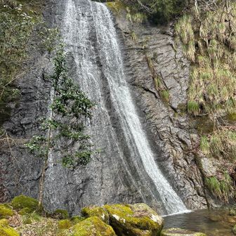 龍ヶ滝到着
龍の背に龍ヶ滝
リュウビゴケもいた
今日は龍の日🐉