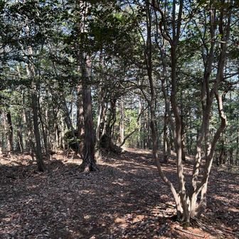 御嶽山に到着。