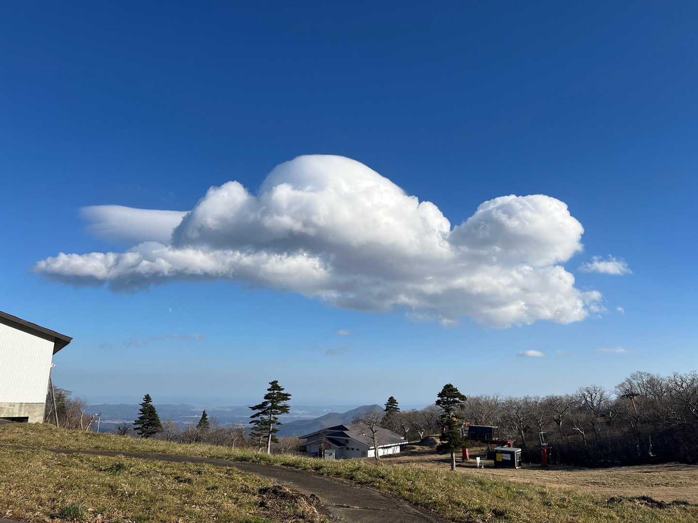 ゆーたんが居そうな雲🛸