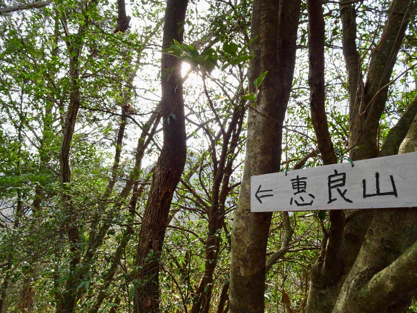 ここからの縦走路、不明瞭なところがあると見たことがあったのですが...