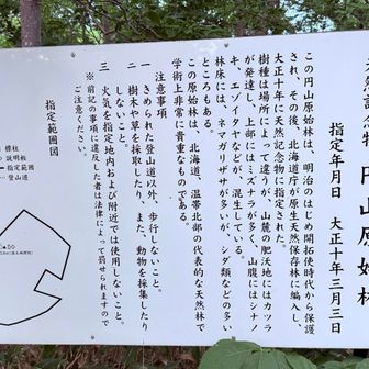 街中に原始林とは、さすが北海道、住宅地と自然が融合している
