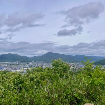 桑山からの右田が岳