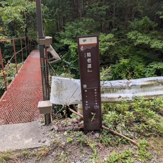ここまで5キロ70分くらいの林道。この先から始まる地獄の急登ををこの時点では知らず笑顔のわたくし
