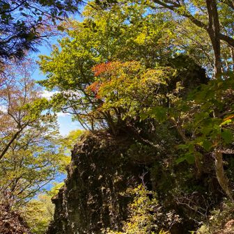 ここだけ秋が深まってる気がします🍁

西峰には、あと鎖⛓️を握ってよじ登るだけ！