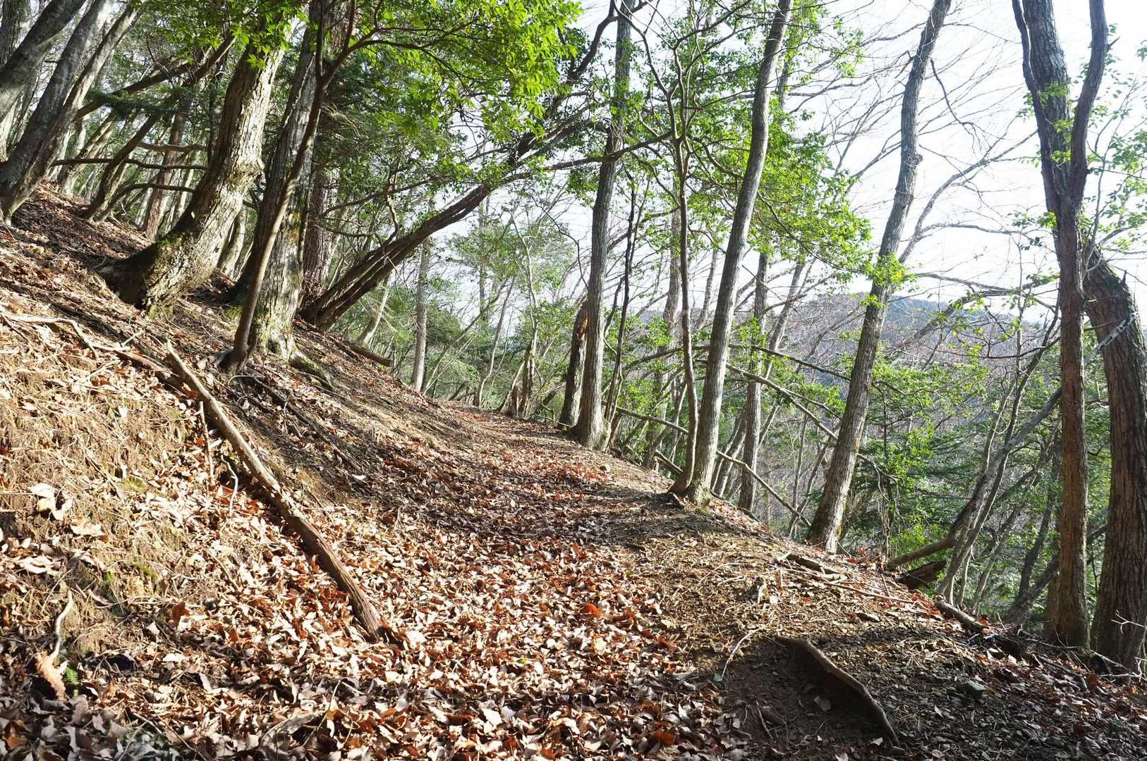 登山口から雪があると思っていたけど全然ない