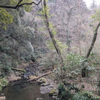 沢音や川音を心地良く聴きながら歩きました😊