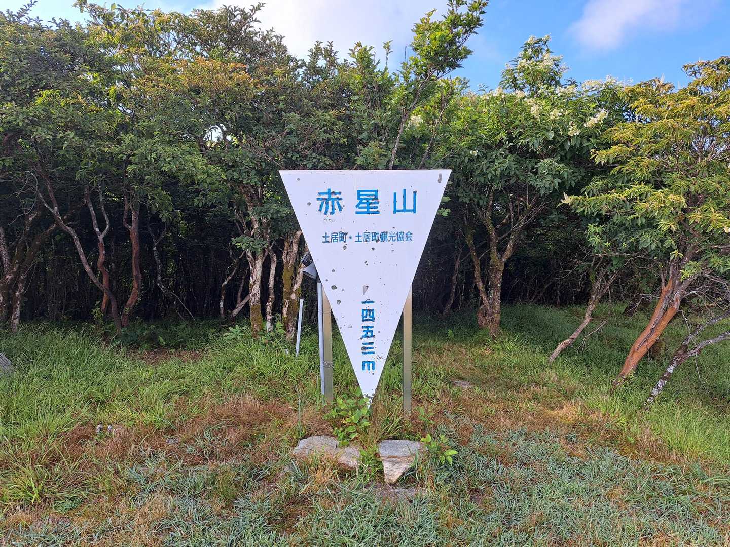 赤星山の山頂に着きました。アブがブンブン飛んでいるので長居はできません。