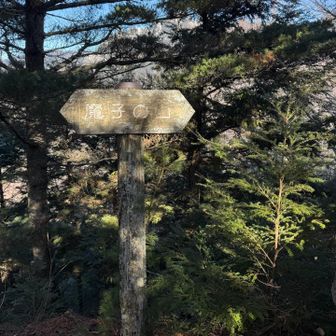 変わった名前の、魔子の山