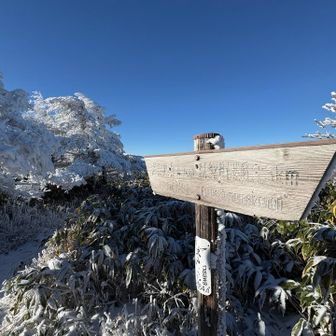 天気が良すぎて霧氷が溶けちゃうのでほぼ休憩なしで進みます🏃‍♂️