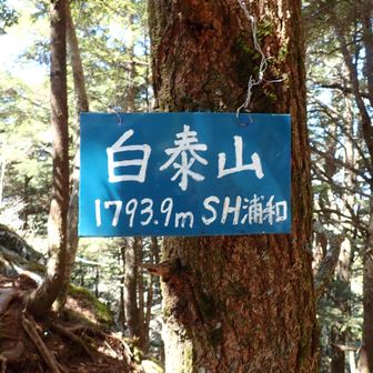 白泰山到着🤗
この手前にももう一つ標識があったが文字の部分が折れていたので外して撮影。
3/15のレポでは二つ標識が撮影されていたから、この１週間程でクマにやられたようです。